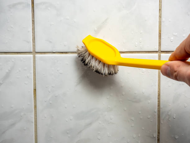 Best Same-Day Mold Removal  in Thomaston, GA