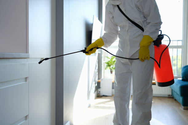 Best Emergency Mold Removal  in Thomaston, GA