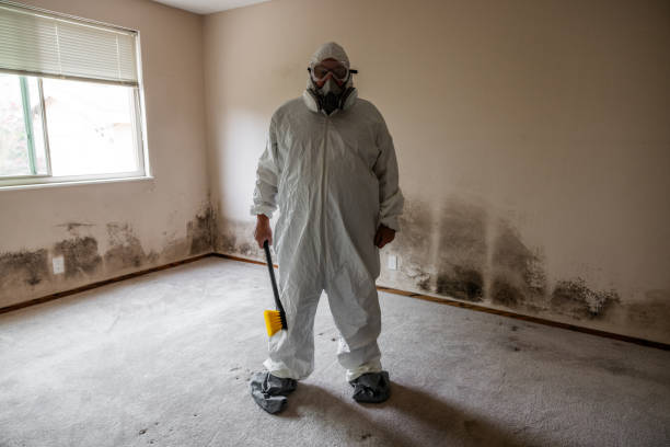 Trusted Thomaston, GA Mold Removal Experts